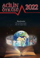 Acilin Öyküsü 2022